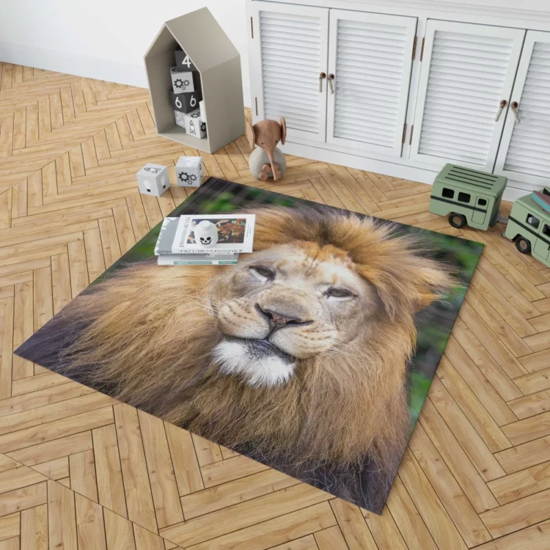 Lion Intense Close-Up Majestic Aura Rug 1