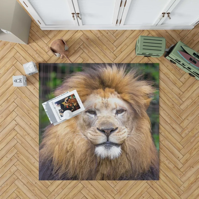 Lion Intense Close-Up Majestic Aura Rug