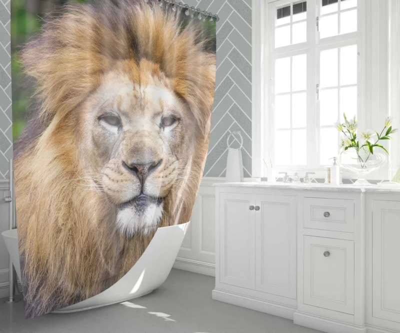 Lion Intense Close-Up Majestic Aura Shower Curtain 1