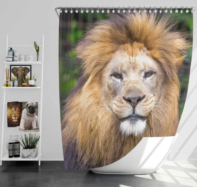 Lion Intense Close-Up Majestic Aura Shower Curtain