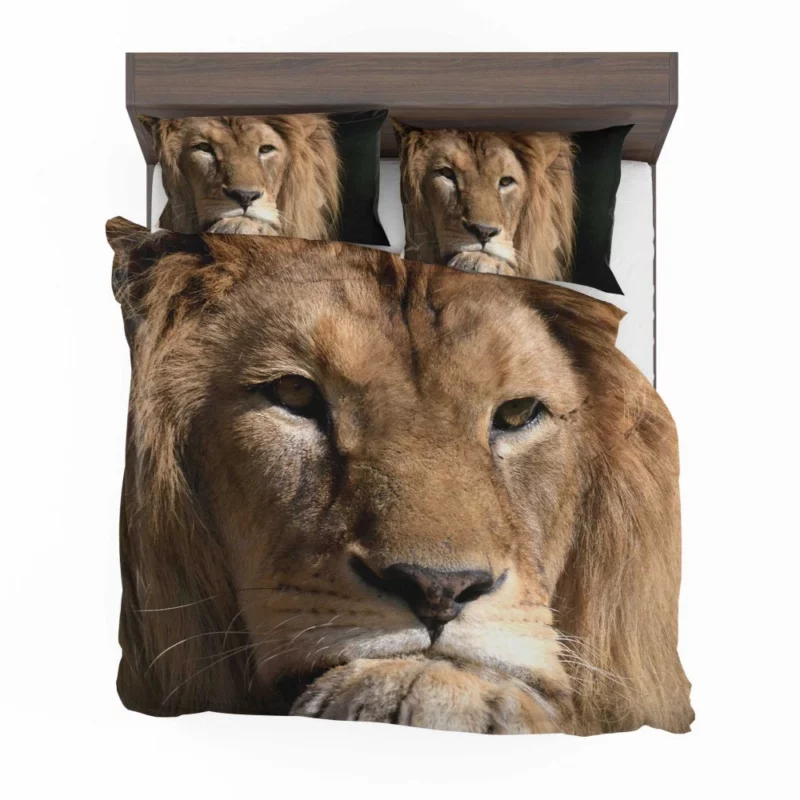 Lion Intense Close-Up Regal Power Bedding Set 1