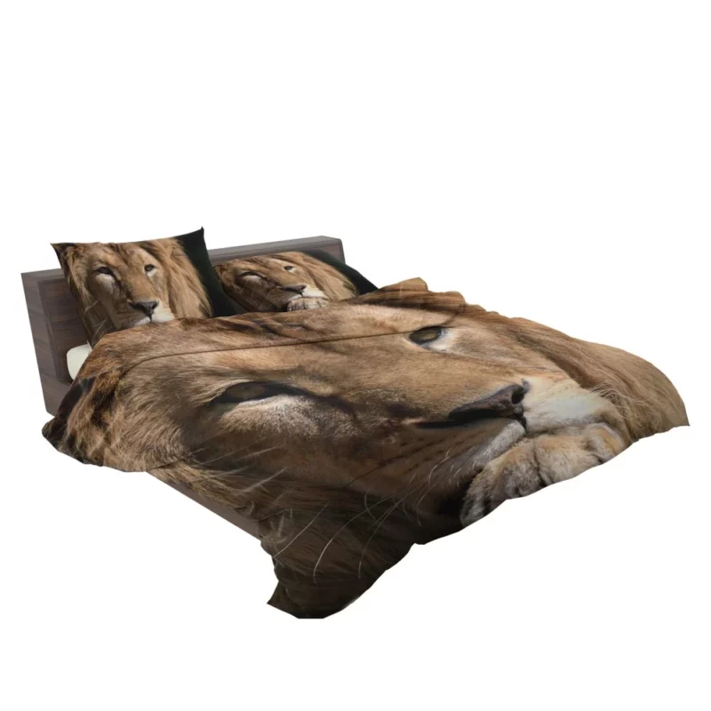 Lion Intense Close-Up Regal Power Bedding Set 2