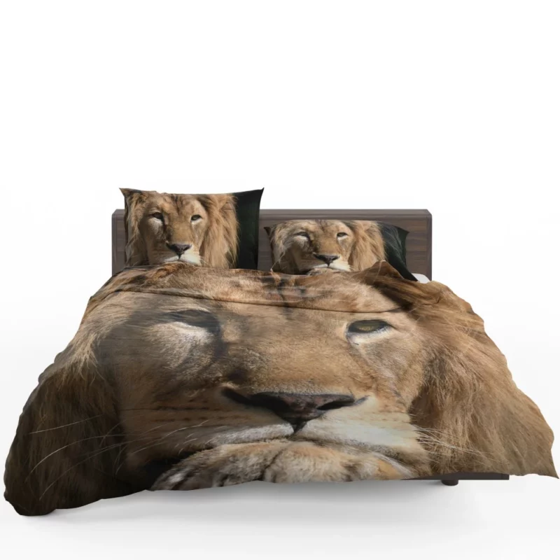 Lion Intense Close-Up Regal Power Bedding Set