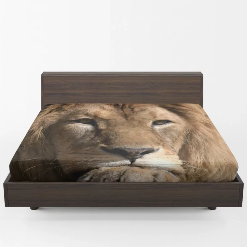 Lion Intense Close-Up Regal Power Fitted Sheet