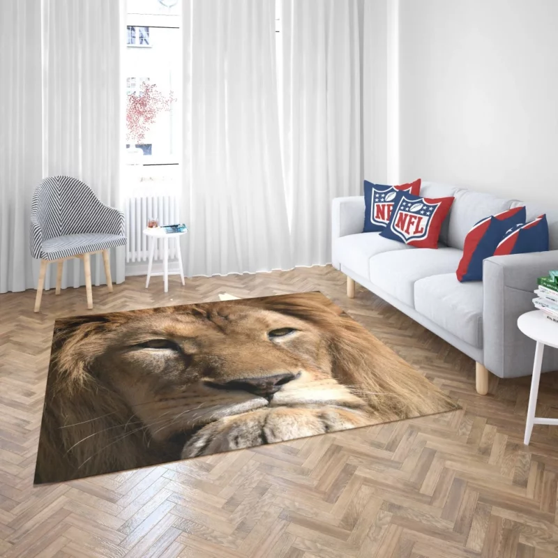 Lion Intense Close-Up Regal Power Rug 2