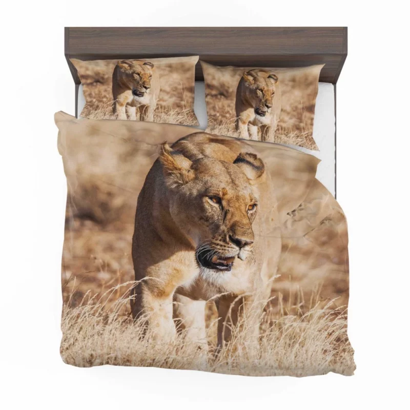 Lion Intense Stare Regal Domination Bedding Set 1