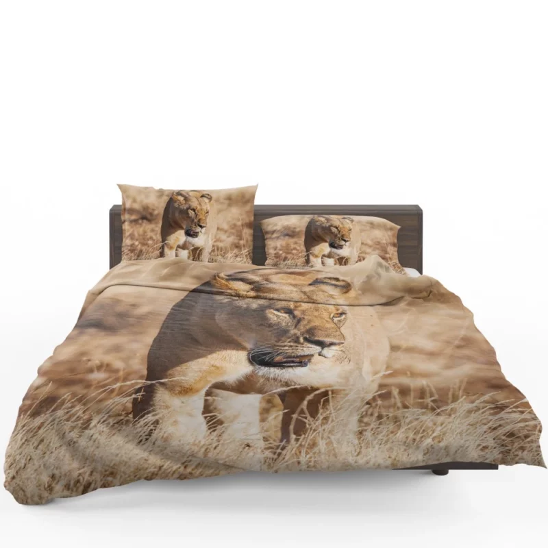 Lion Intense Stare Regal Domination Bedding Set