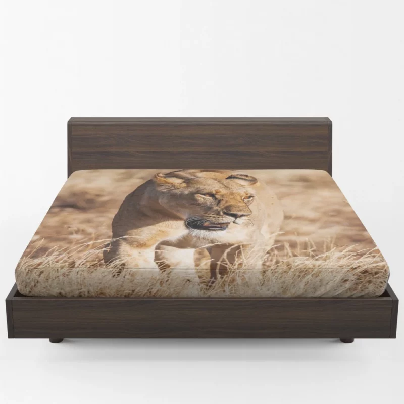 Lion Intense Stare Regal Domination Fitted Sheet