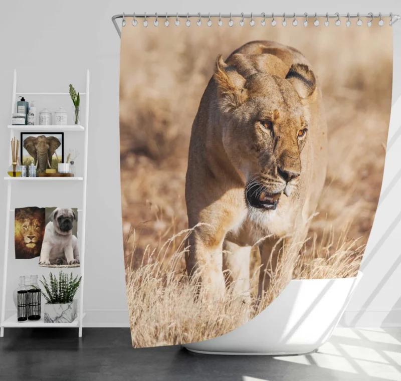 Lion Intense Stare Regal Domination Shower Curtain