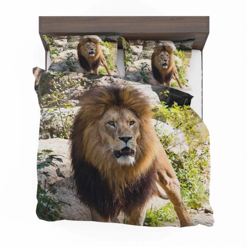 Lion Kingly Majesty Bedding Set 1