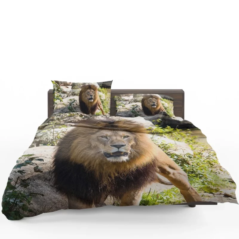 Lion Kingly Majesty Bedding Set