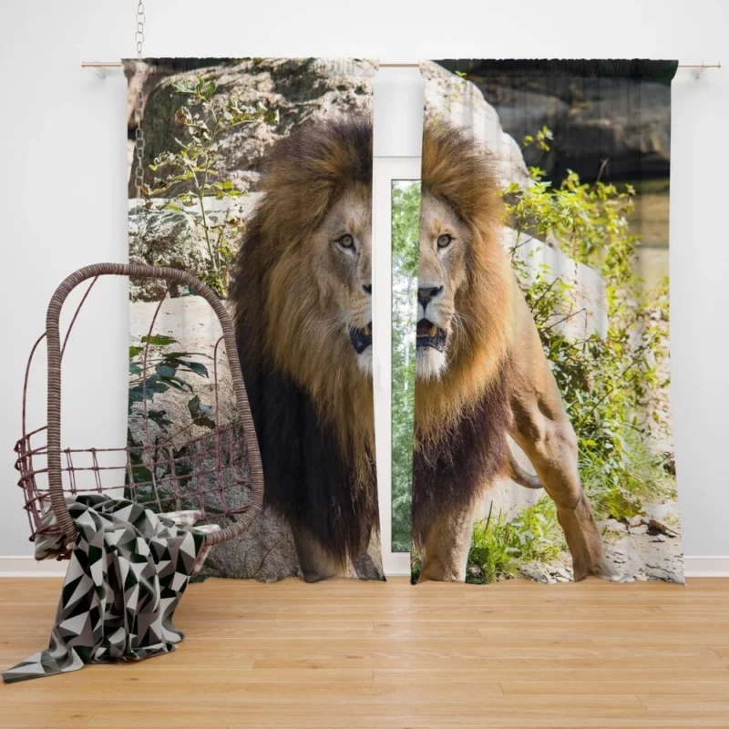 Lion Kingly Majesty Curtain