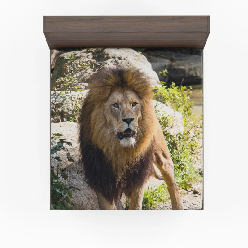 Lion Kingly Majesty Fitted Sheet 1