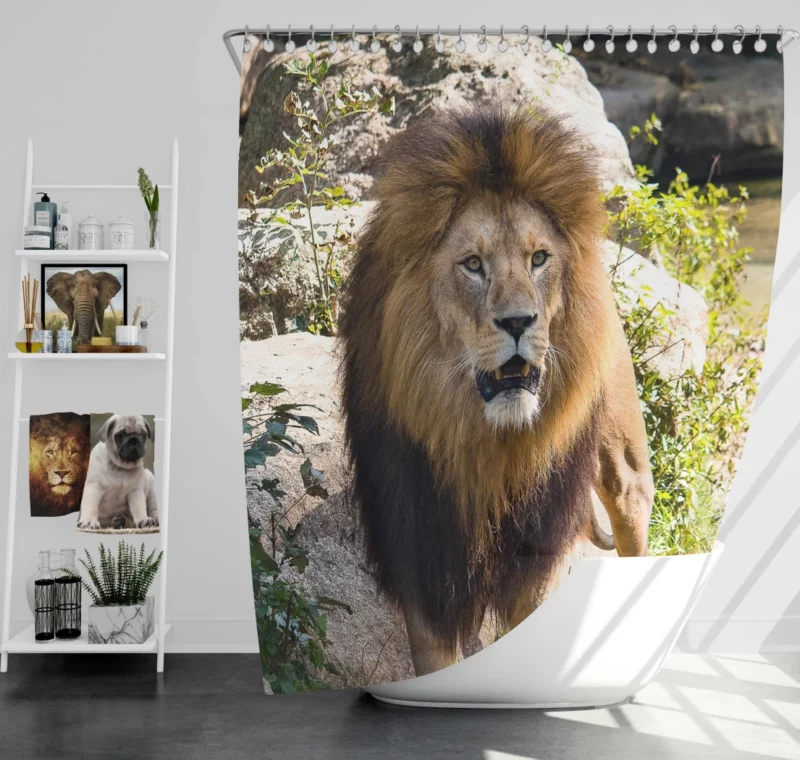 Lion Kingly Majesty Shower Curtain