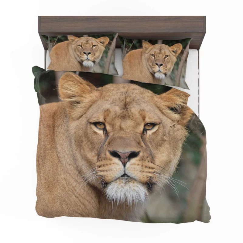 Lion Magnificent Bedding Set 1