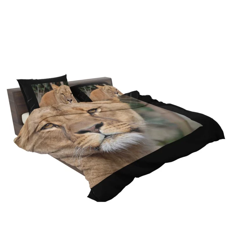 Lion Magnificent Bedding Set 2