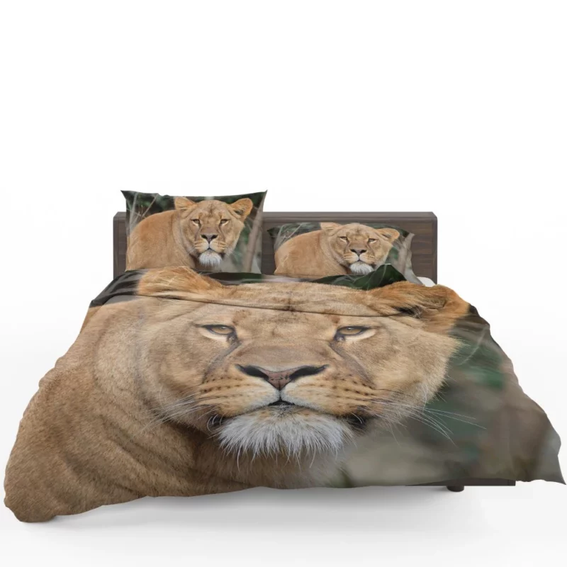 Lion Magnificent Bedding Set