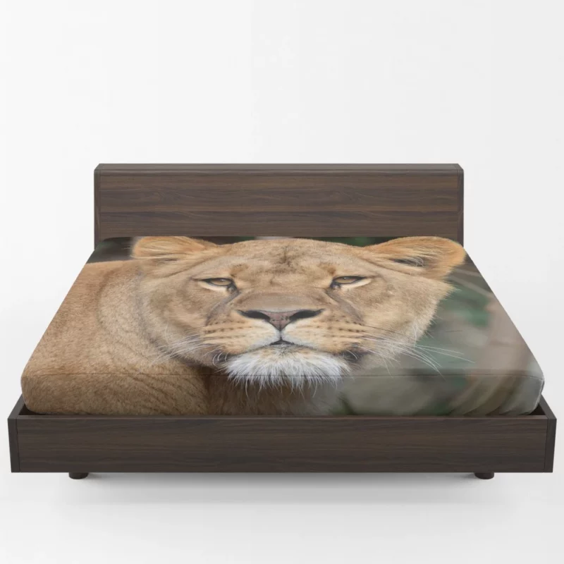 Lion Magnificent Fitted Sheet