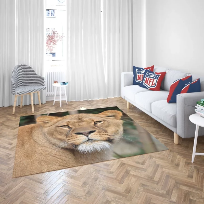 Lion Magnificent Rug 2