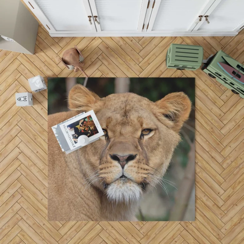 Lion Magnificent Rug