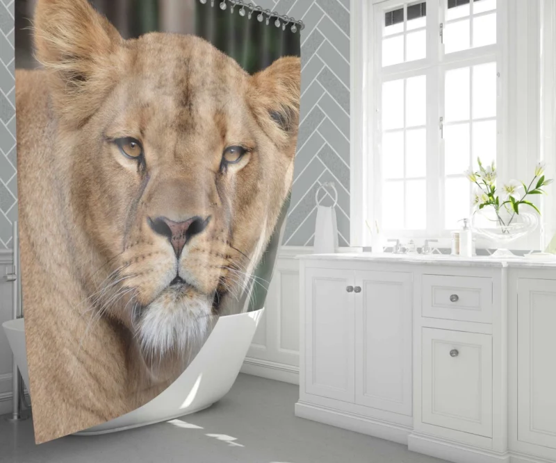 Lion Magnificent Shower Curtain 1