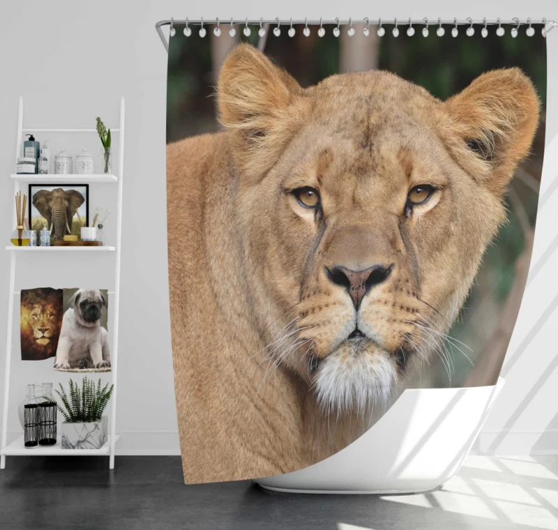 Lion Magnificent Shower Curtain