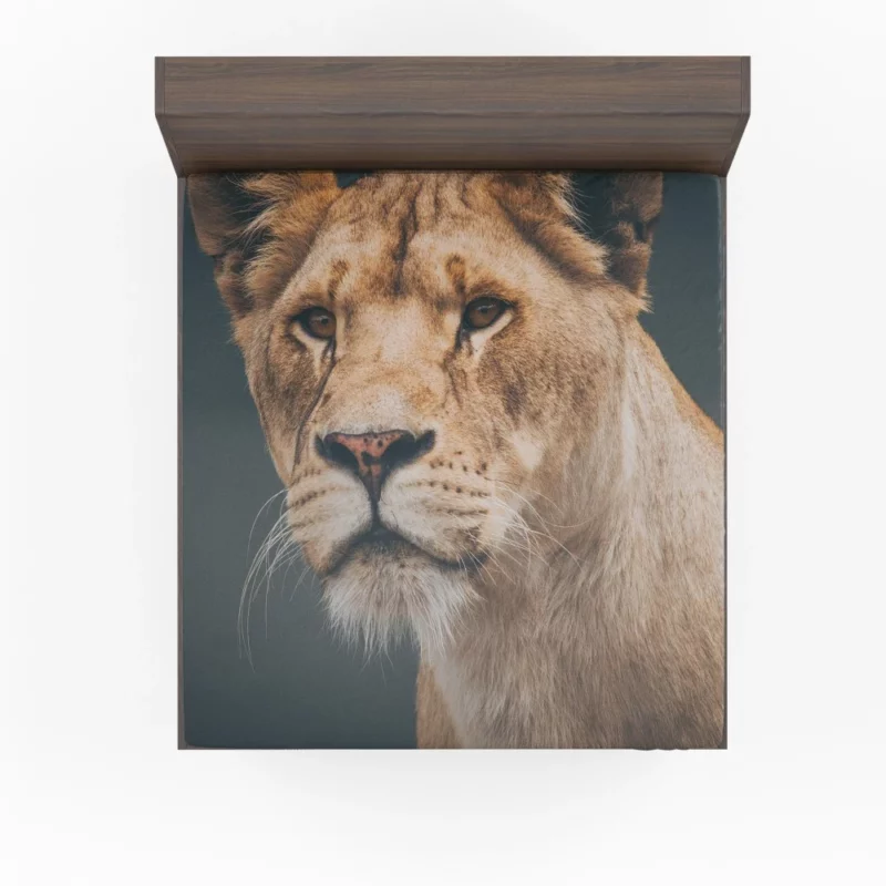 Lion Majestic Fitted Sheet 1