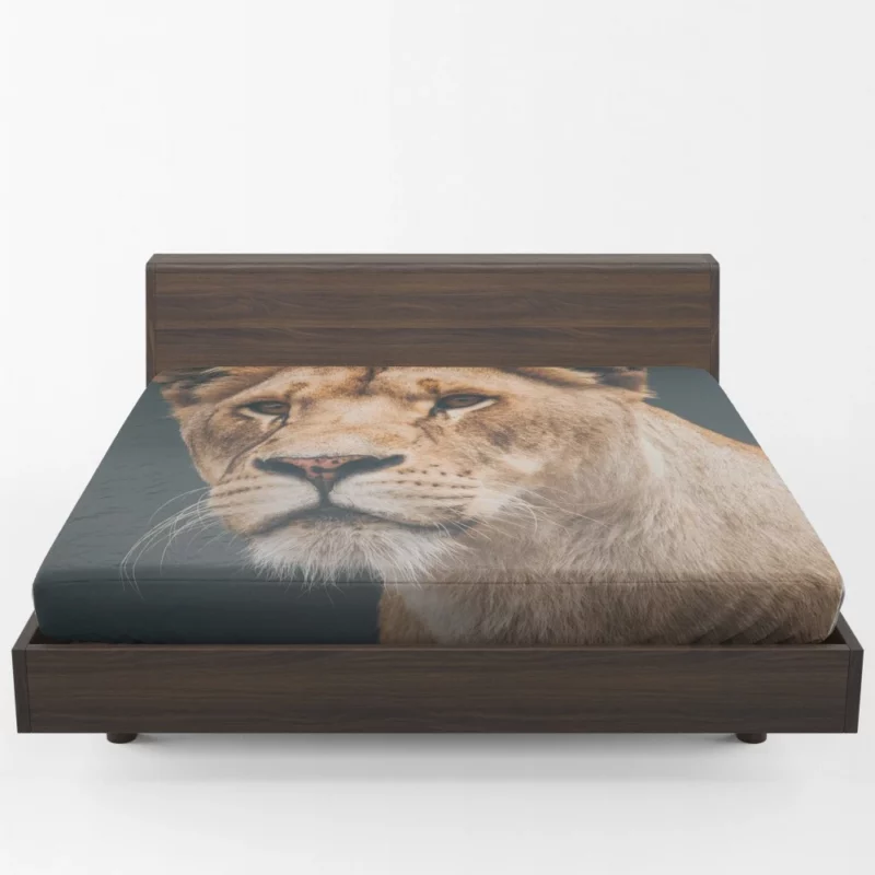 Lion Majestic Fitted Sheet