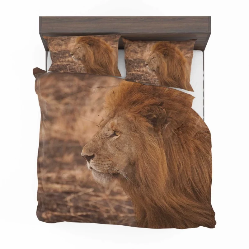 Lion Majestic Gaze King of Wilderness Bedding Set 1