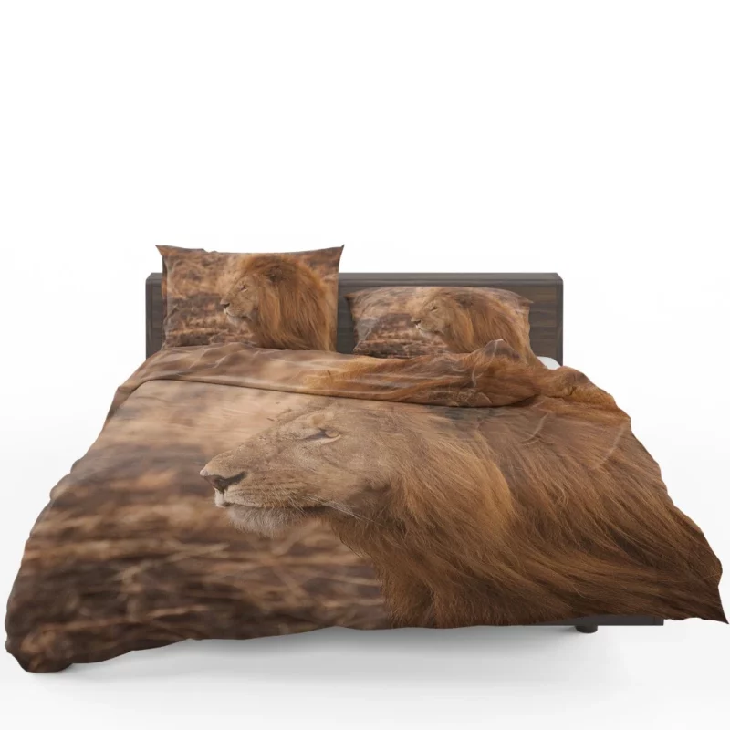 Lion Majestic Gaze King of Wilderness Bedding Set