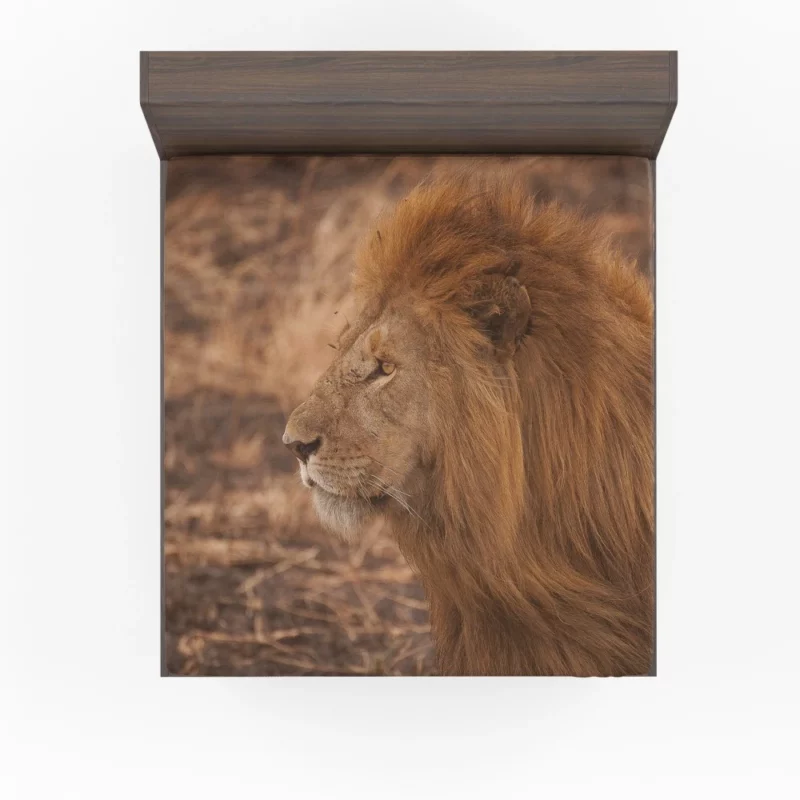 Lion Majestic Gaze King of Wilderness Fitted Sheet 1