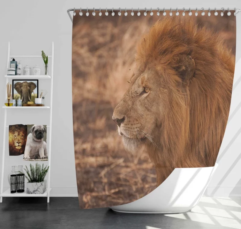 Lion Majestic Gaze King of Wilderness Shower Curtain