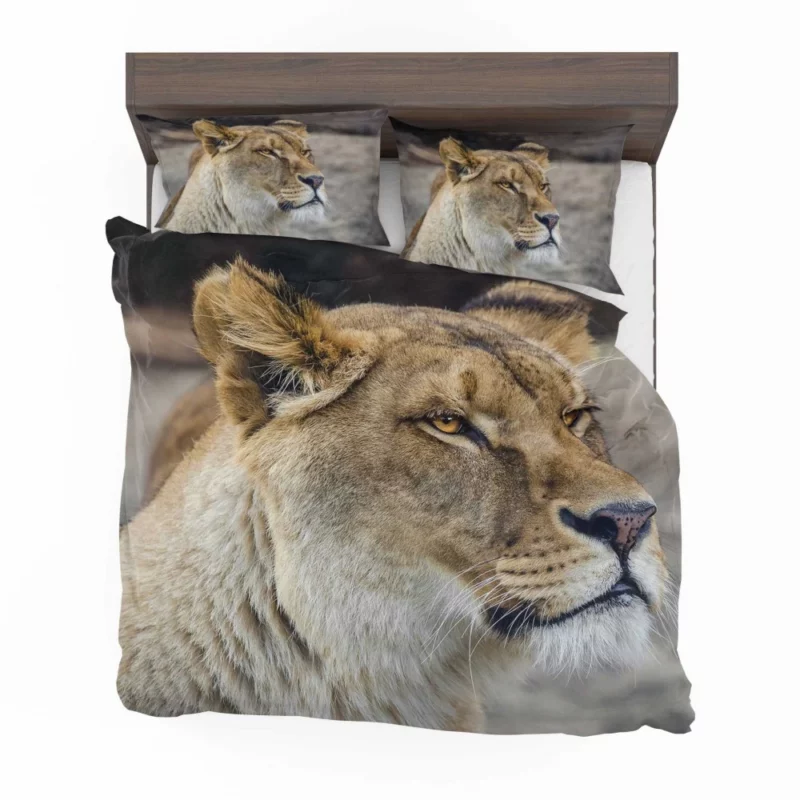 Lion Majestic Gaze Kingly Presence Bedding Set 1