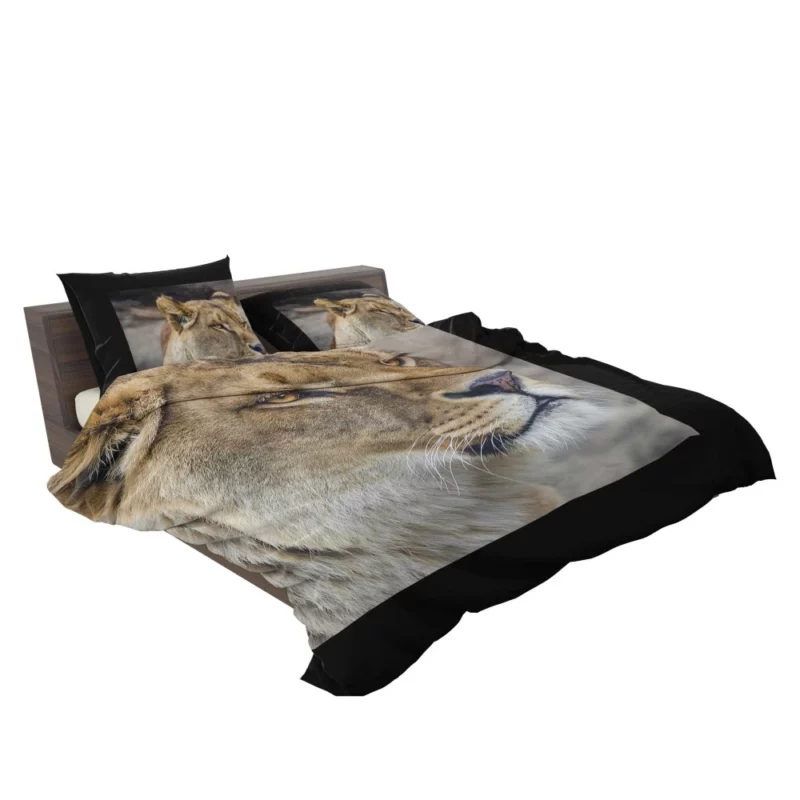 Lion Majestic Gaze Kingly Presence Bedding Set 2