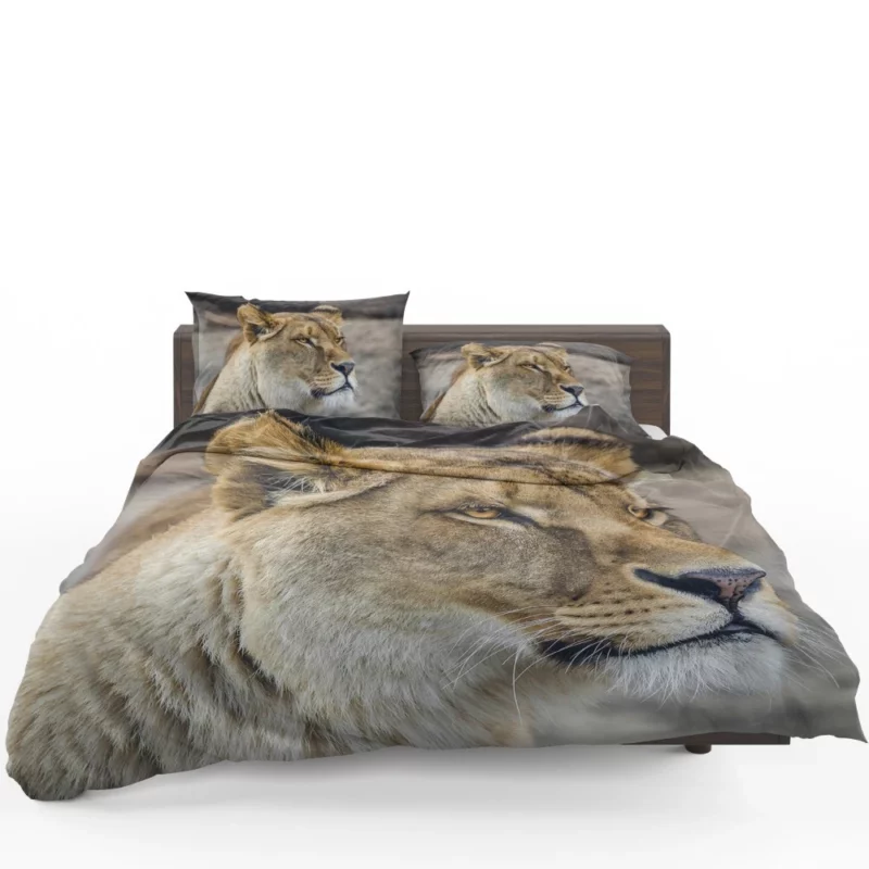 Lion Majestic Gaze Kingly Presence Bedding Set