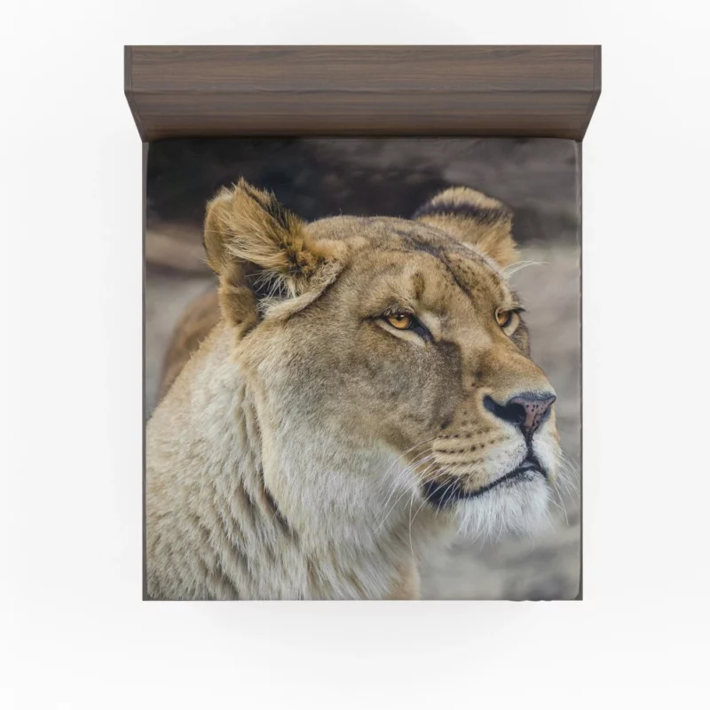 Lion Majestic Gaze Kingly Presence Fitted Sheet 1