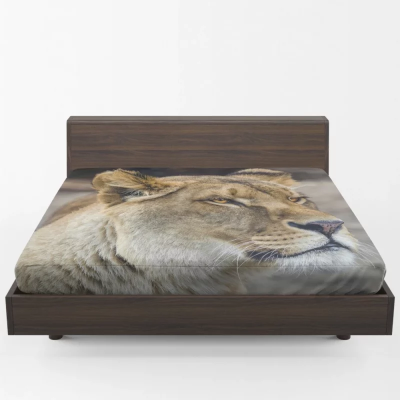 Lion Majestic Gaze Kingly Presence Fitted Sheet