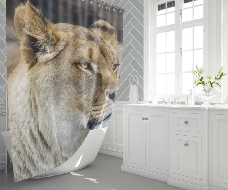 Lion Majestic Gaze Kingly Presence Shower Curtain 1