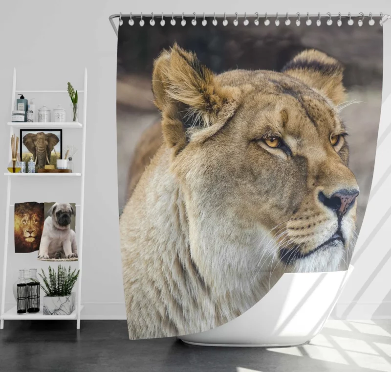 Lion Majestic Gaze Kingly Presence Shower Curtain