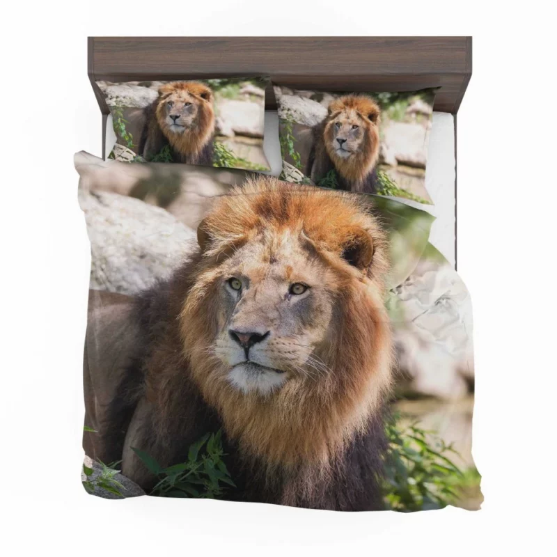 Lion Majestic Gaze Wilderness King Bedding Set 1