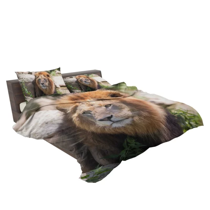 Lion Majestic Gaze Wilderness King Bedding Set 2