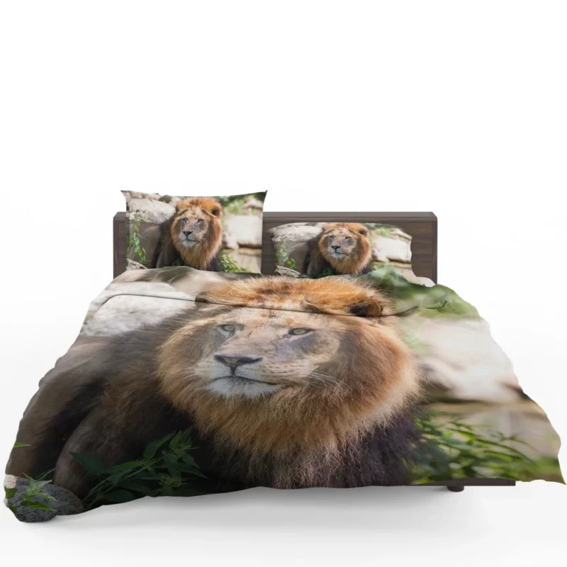 Lion Majestic Gaze Wilderness King Bedding Set