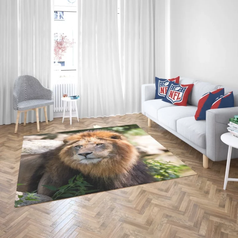 Lion Majestic Gaze Wilderness King Rug 2