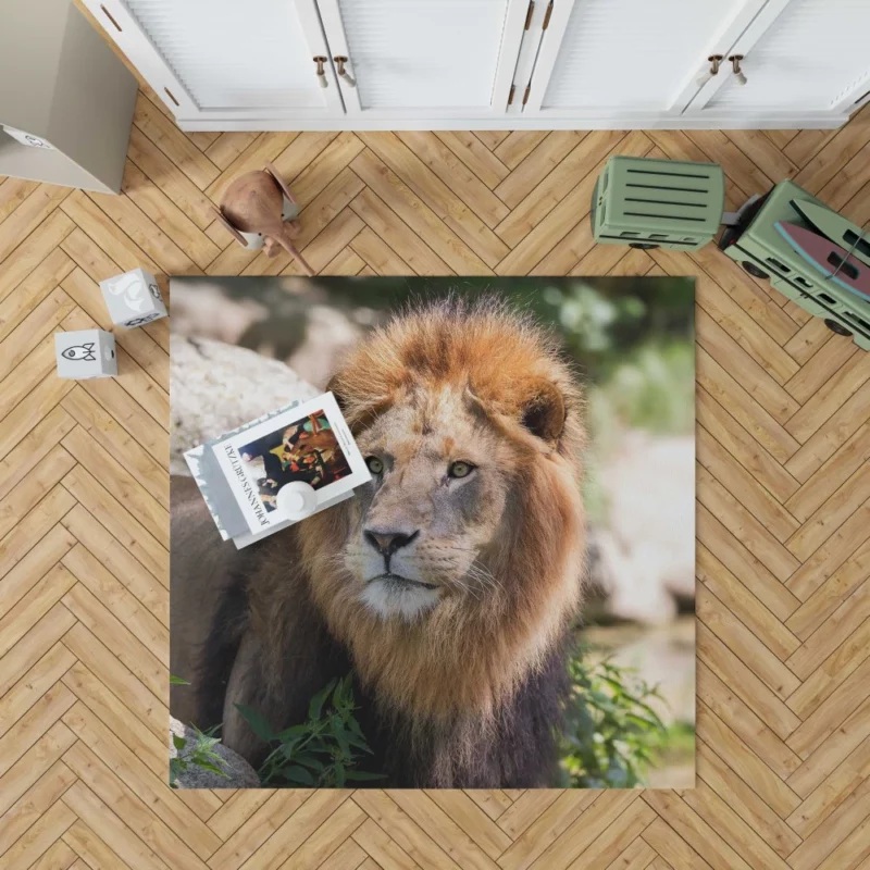 Lion Majestic Gaze Wilderness King Rug