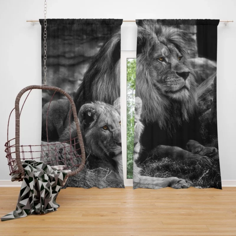 Lion Majestic Pair Kingly Love Curtain