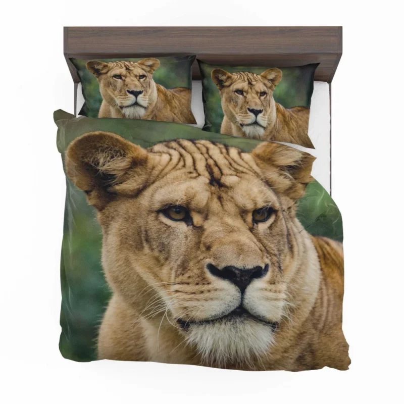 Lion Majestic Presence Fierce Aura Bedding Set 1