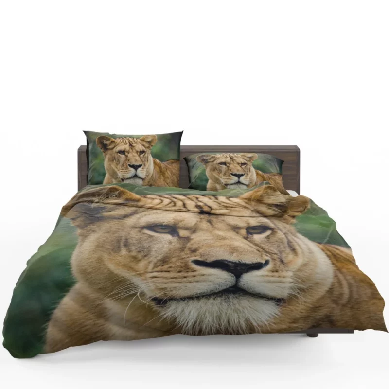 Lion Majestic Presence Fierce Aura Bedding Set