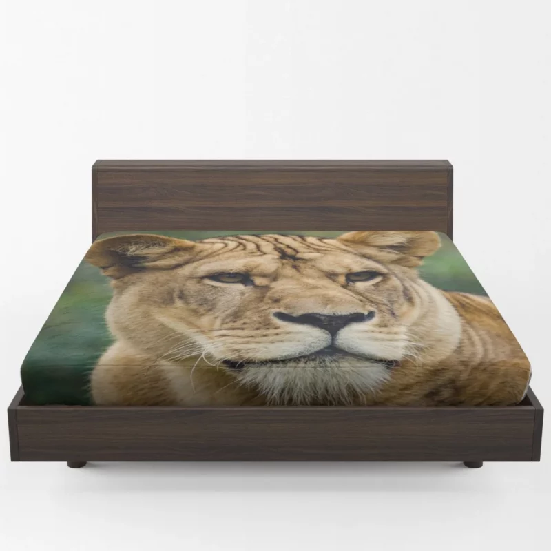 Lion Majestic Presence Fierce Aura Fitted Sheet