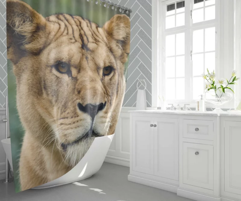 Lion Majestic Presence Fierce Aura Shower Curtain 1