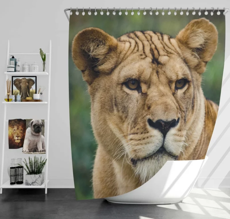 Lion Majestic Presence Fierce Aura Shower Curtain